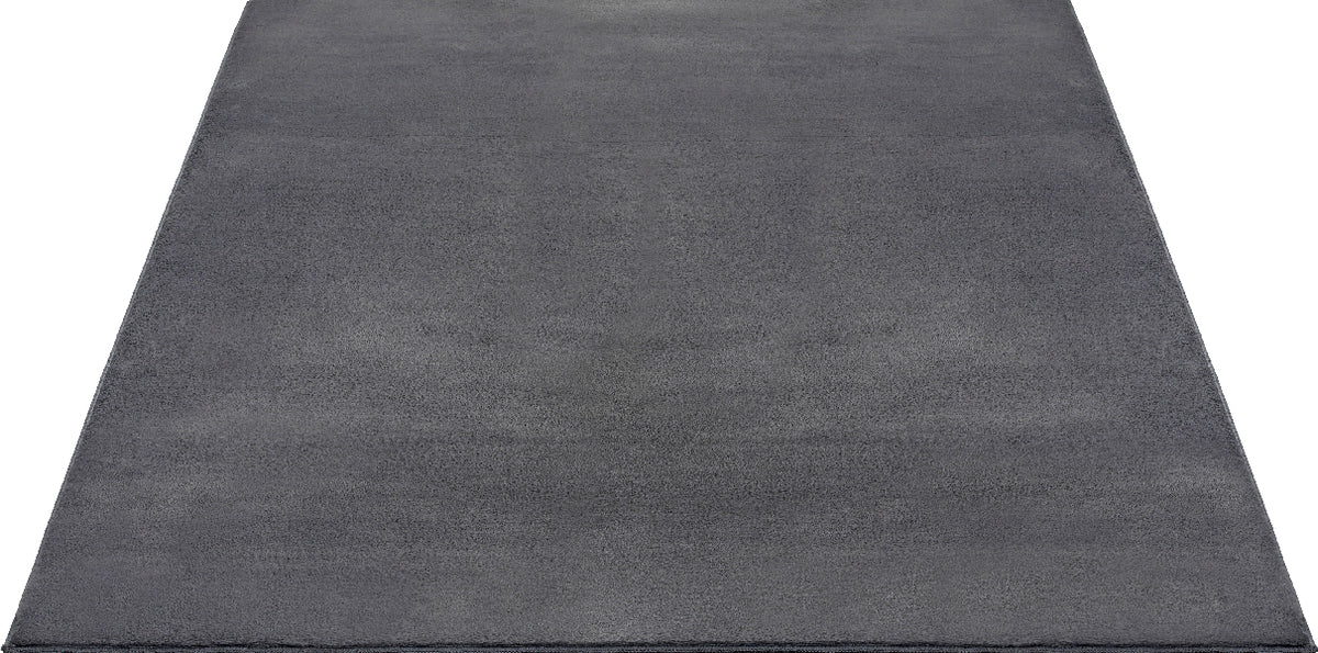 Focus 47 995-Anthracite